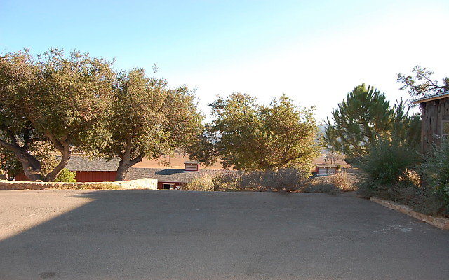 DSC 0226b