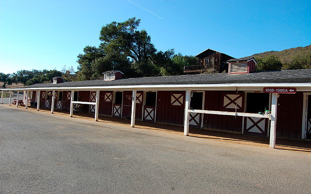 DSC 0236