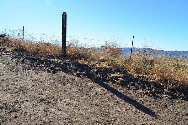 DSC 9086