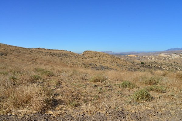 DSC 9124