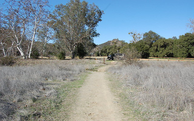 DSC 0283