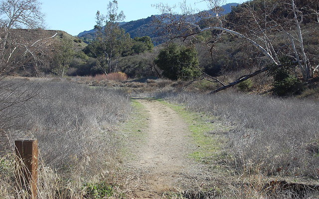DSC 0279