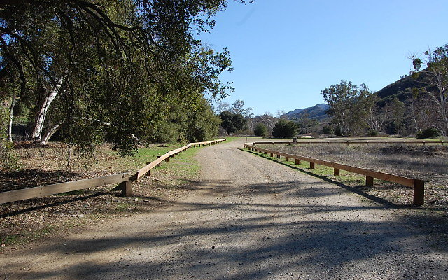 DSC 0272