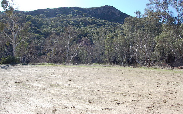 DSC 0278