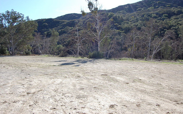 DSC 0277