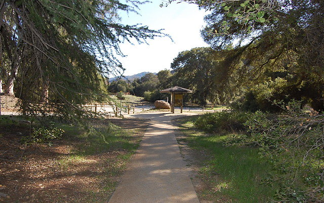 DSC 0289