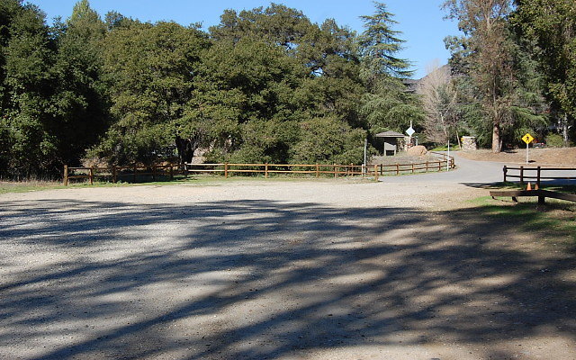 DSC 0271