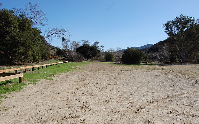 DSC 0276