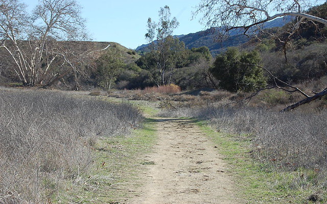 DSC 0280