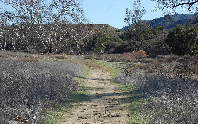 DSC 0281