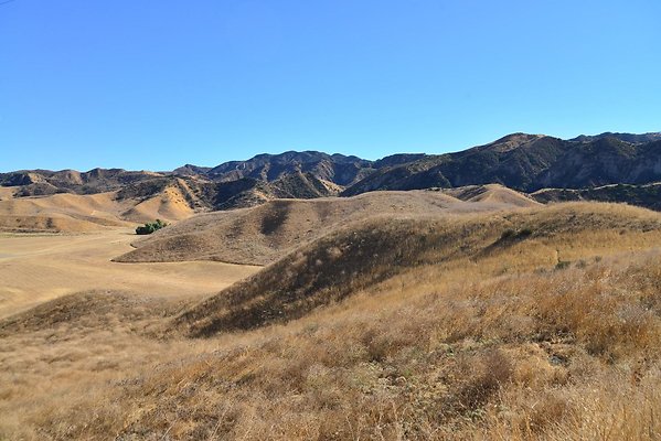 DSC 8854