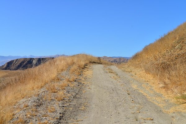 DSC 8834