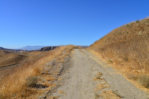 DSC 8833