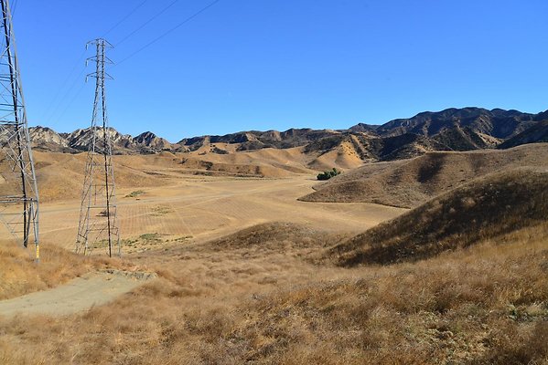 DSC 8855