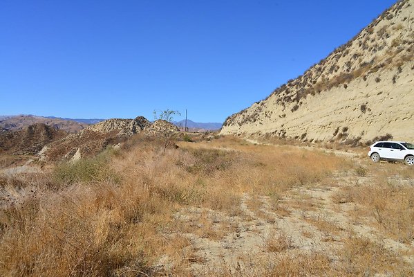 DSC 8787