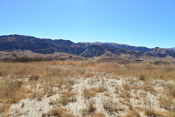 Pico Cyn Overlook