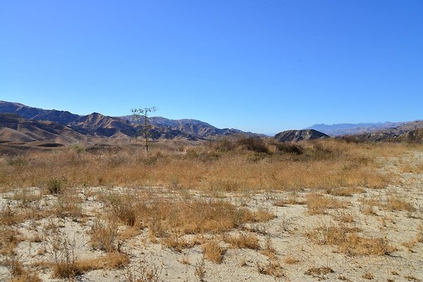 DSC 8799