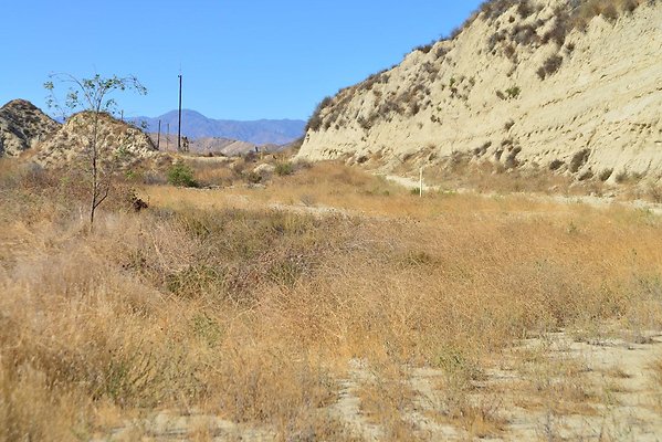 DSC 8794