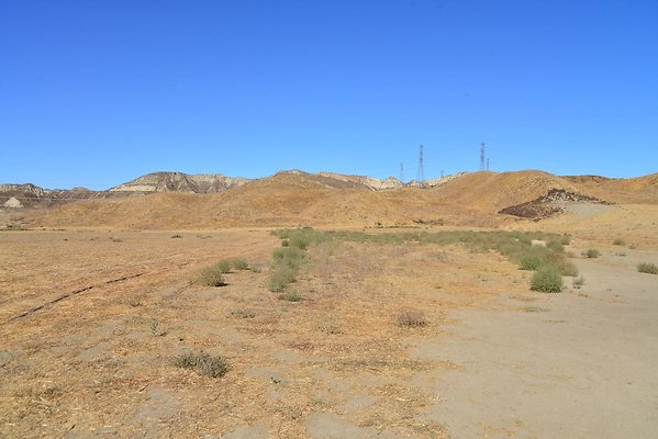 DSC 8809