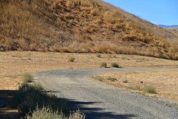 DSC 8815