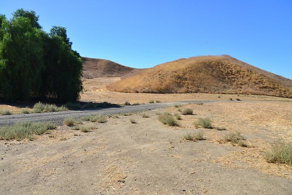 DSC 8807