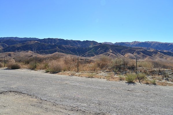 DSC 8775