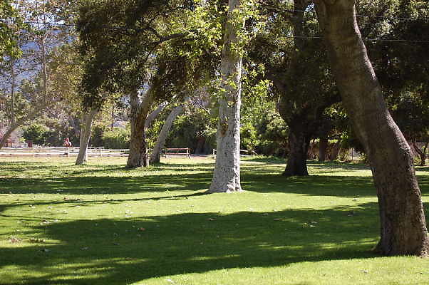 DSC 0703