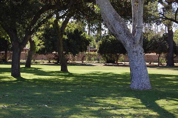 DSC 0698