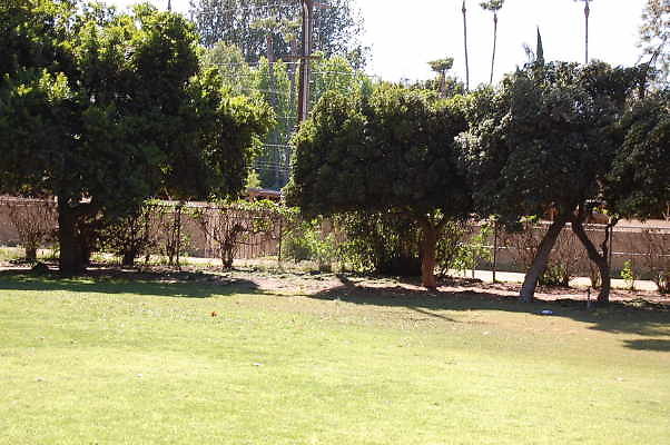 DSC 0705