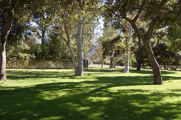 DSC 0702