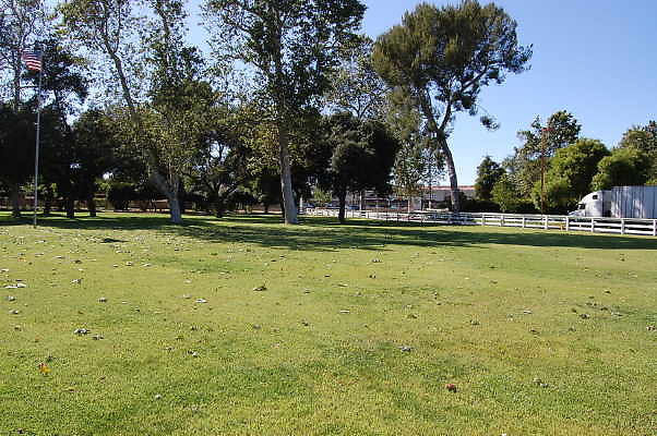 DSC 0696