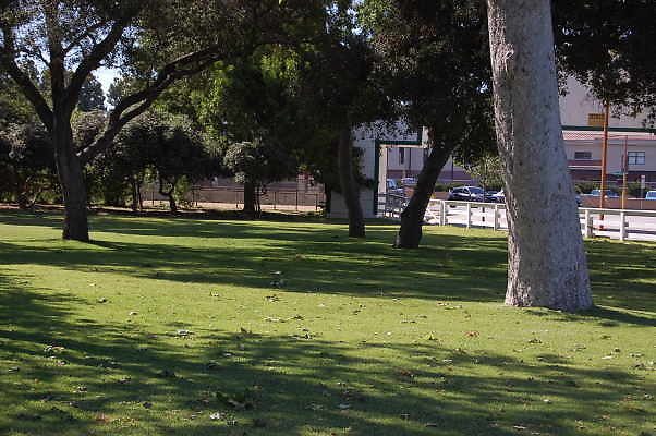 DSC 0699