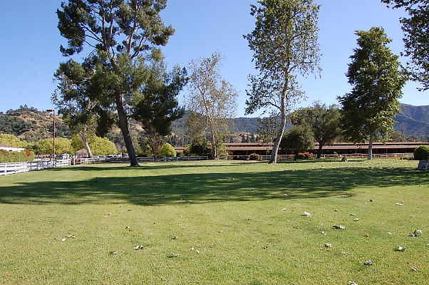 DSC 0694
