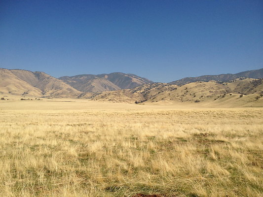 Campo-Bonito-1