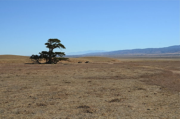 Tejon-Ranch-South-Side-016