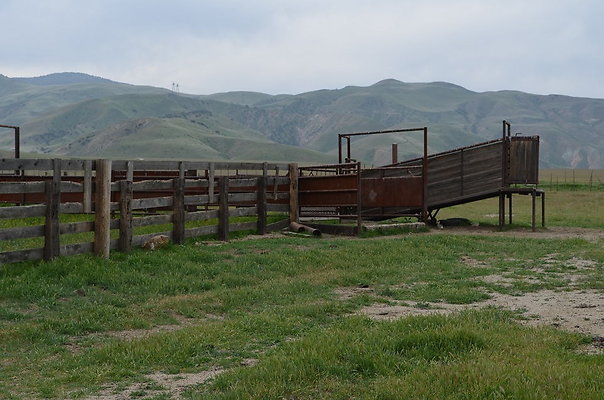 GVW-corral