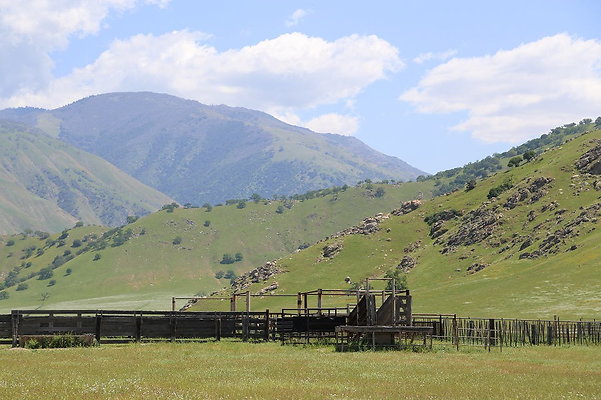 Campo-Bonito