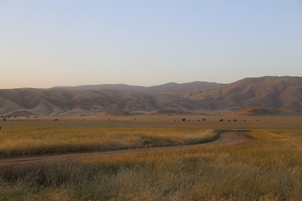 Tresquela-Field-2