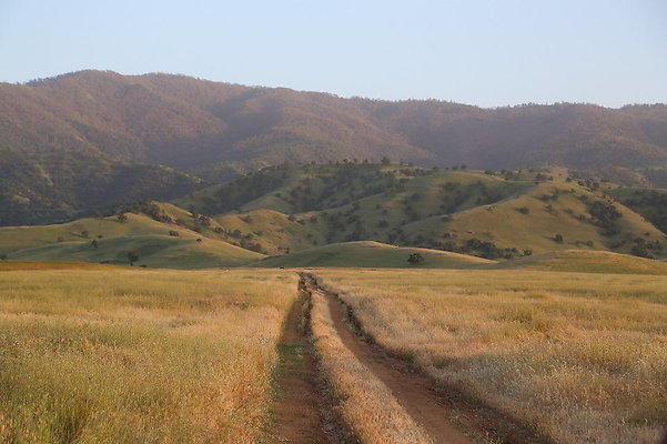 Tresquela-Field