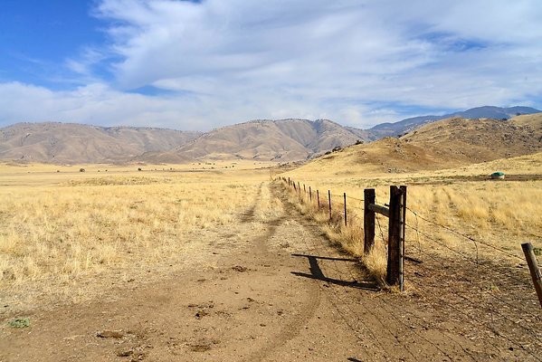 Tejon Grapevine Campo Bonito Fence Line Tejon Grapevine Campo Bonito Fence Line