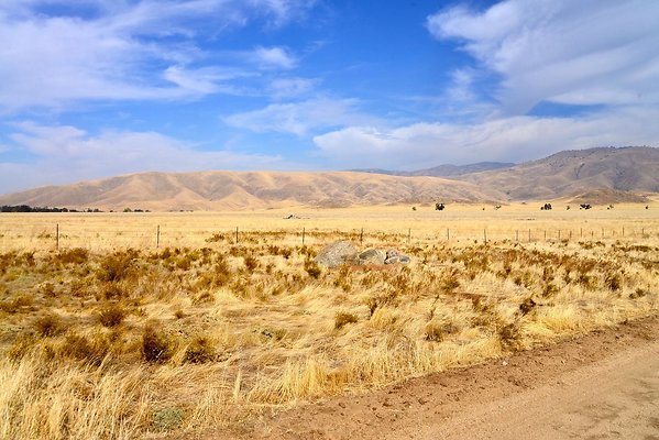 Tejon Grapevine Campo Bonito Road Tejon Grapevine Campo Bonito Road