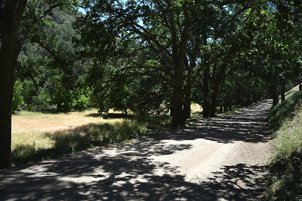 N 34.914581,-118.68946