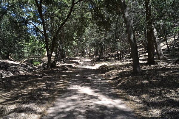 O 34.893666,-118.742208