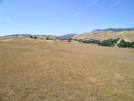 Tejon Ranch.Add.l - Debbie 661-248-6890