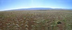 110.SOUTH