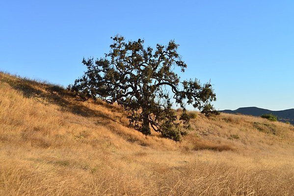 DSC 8997