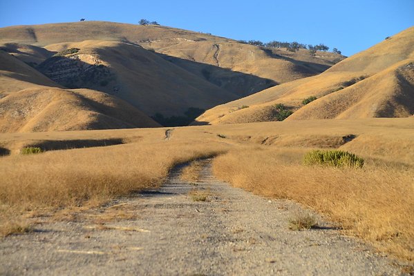 West Rd Tripps Mesa