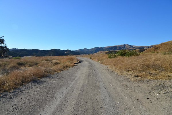 DSC 8867