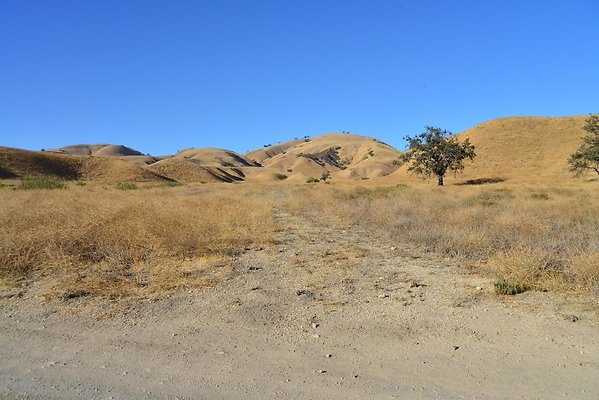DSC 8873