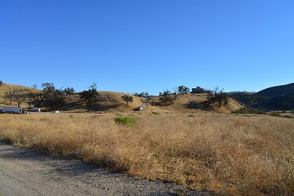 DSC 8878